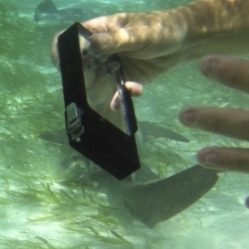 Ovision – wodoszczelna obudowa dla iPhone’a do podwodnej fotografii