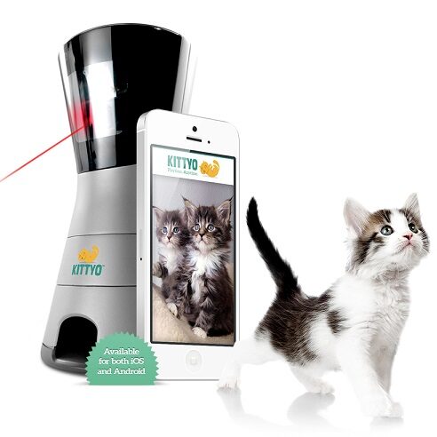 Kittyo – zdalna zabawa laserem z naszym kotem przez smartfon