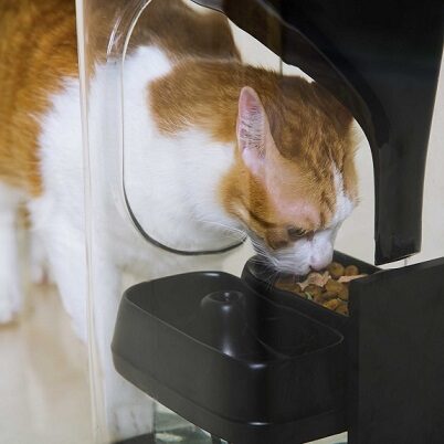 Bistro Smart Feeder – podajnik rozpoznający pyszczek kota