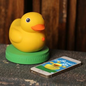 Edwin the Duck: gumowa kaczusia w Internecie Rzeczy