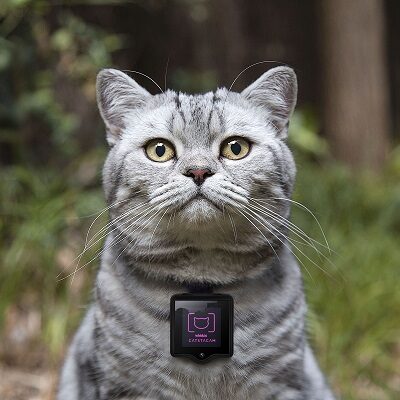 Catstacam – Whiskas chce by kot "pstrykał" zdjęcia