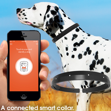 DogTelligent – inteligentna obroża z systemem tresury i aplikacją