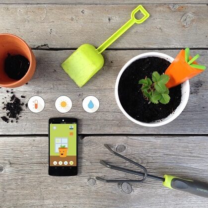 Grüt – zestaw młodego ogrodnika z aplikacją i sensorami