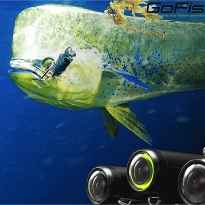 GoFish Cam – łowienie ryb z kamerką akcji na haczyku