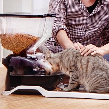 CatFi – inteligentny "karmnik" dla kota. Jest wersja kartonowa