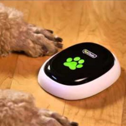 PawCall i PetChatz HD – czy twój pies umie połączyć się z panem?