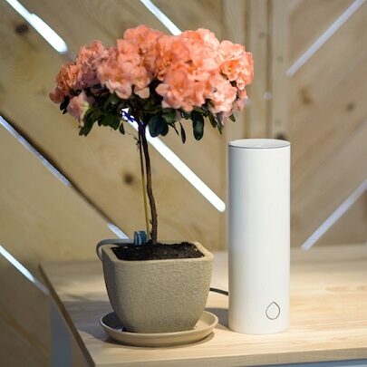 Grovio Smart Plant Monitor – podlewanie w smart domu