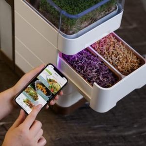 Cell One Microgreens