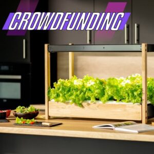Crowdfunding 89