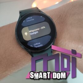 Mój Smart Dom: test Google Home w Wear OS
