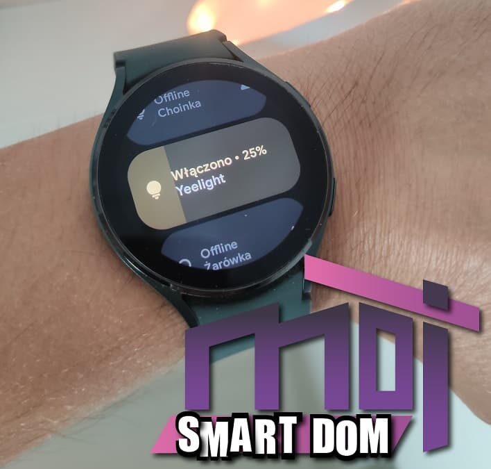 Mój Smart Dom: test Google Home w Wear OS